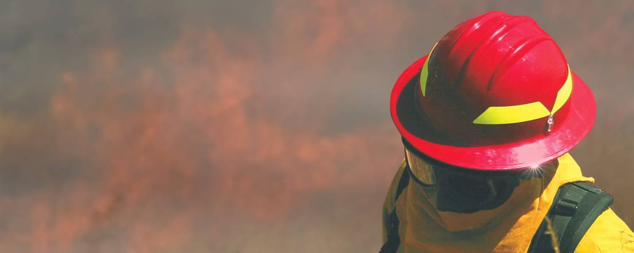 Wildland series